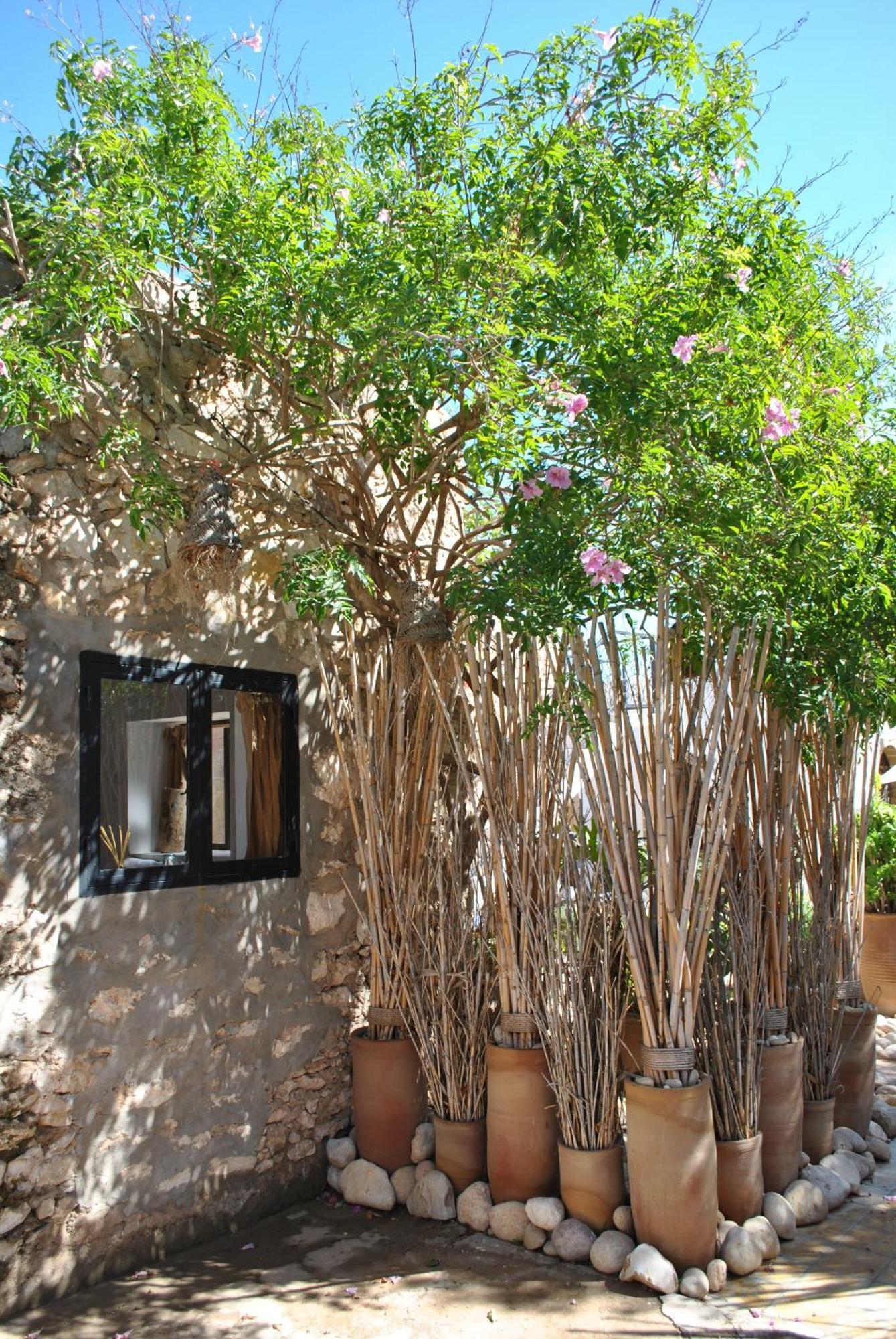 Maison Sidi Et Lalla Esauira Exterior foto
